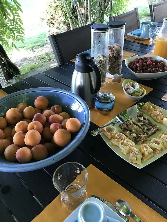 Le Mas De Lilou Bed & Breakfast Tarascon